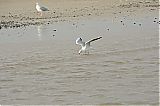 Nom du fichier=DSF_2121.JPG
Taille du fichier=260Ko
Dimensions : 2048x1365
Ajouté le : 21 Septembre 2014 DSF_2121.JPG