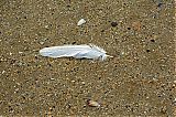 Nom du fichier=DSF_2153.jpg
Taille du fichier=899Ko
Dimensions : 2048x1365
Ajouté le : 21 Septembre 2014 DSF_2153.jpg