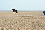 Nom du fichier=DSF_2181.jpg
Taille du fichier=429Ko
Dimensions : 2048x1365
Ajouté le : 21 Septembre 2014 DSF_2181.jpg