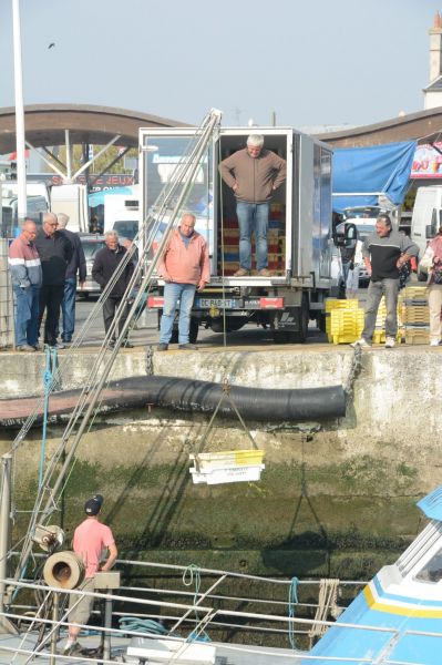 Cliquer pour voir l'image en taille réelle