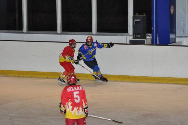 Cliquer pour voir l'image en taille réelle