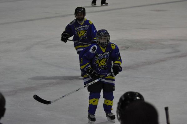 Klik op de foto om originele grootte te bekijken