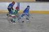 DSC_5224.jpg