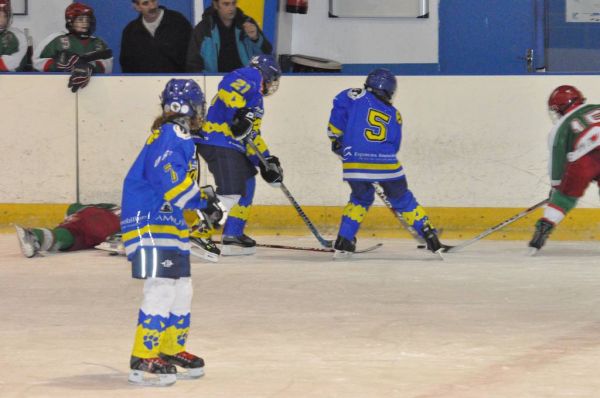 Cliquer pour voir l'image en taille réelle