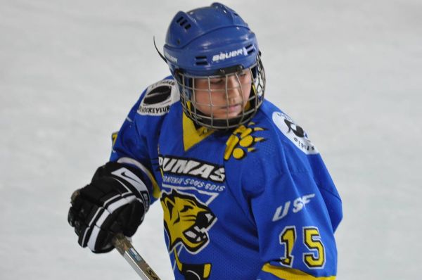 Cliquer pour voir l'image en taille réelle