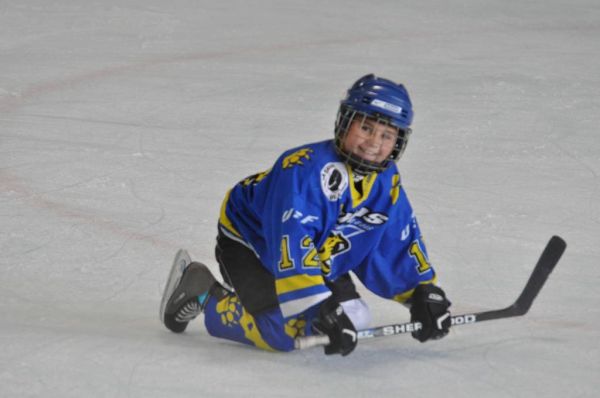 Cliquer pour voir l'image en taille réelle