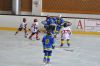 Filename=DSC_4990.jpg
Filesize=156KiB
Dimensions=1024x680
Date added=Nov 07, 2010 DSC_4990.jpg