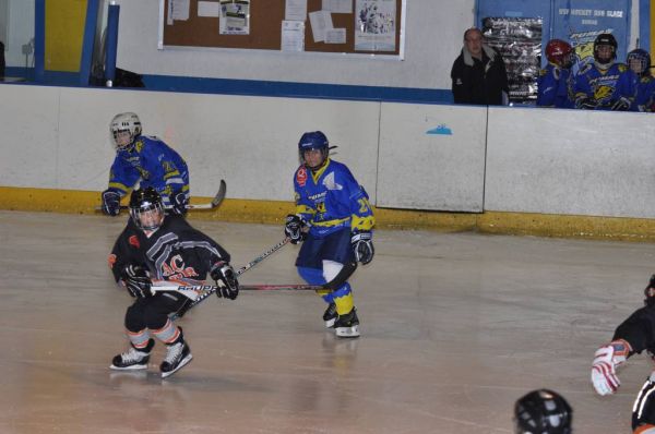 Clicca per vedere l'immagine alla massima grandezza