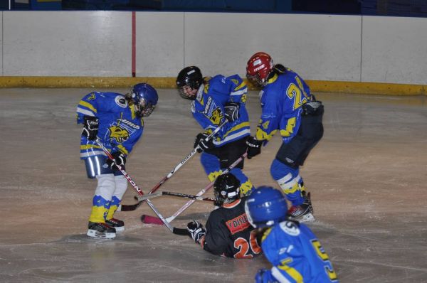 Clicca per vedere l'immagine alla massima grandezza