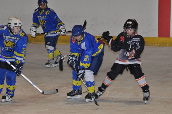 Cliquer pour voir l'image en taille réelle