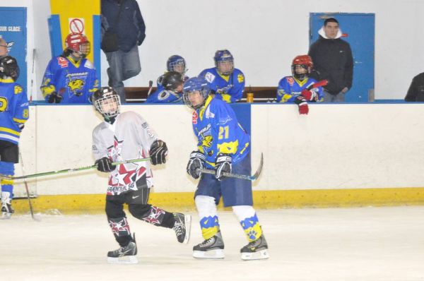 Cliquer pour voir l'image en taille réelle