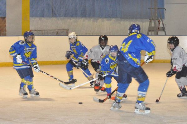 Cliquer pour voir l'image en taille réelle