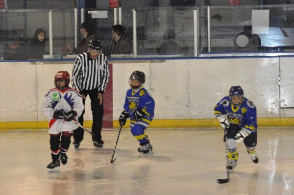 Cliquer pour voir l'image en taille réelle