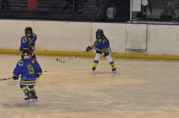 Cliquer pour voir l'image en taille réelle