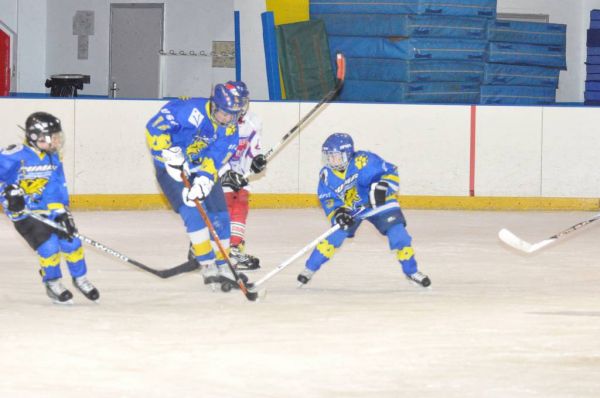 Cliquer pour voir l'image en taille réelle