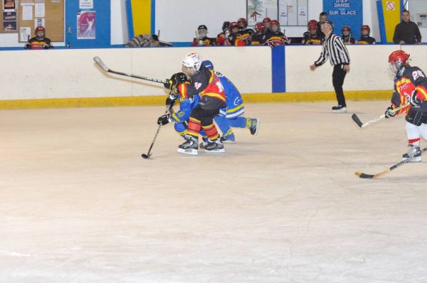 Clicca per vedere l'immagine alla massima grandezza