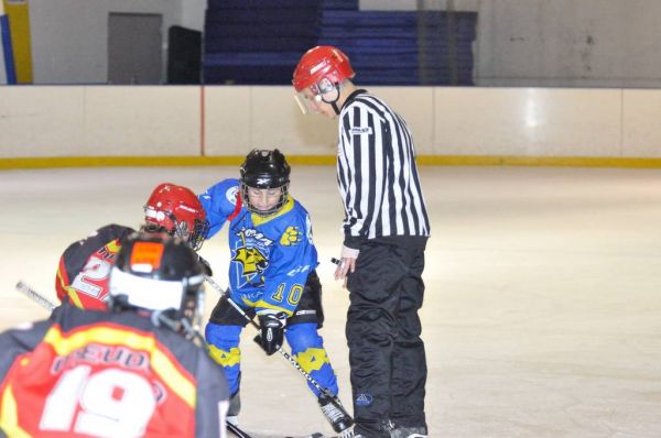 Klik op de foto om originele grootte te bekijken