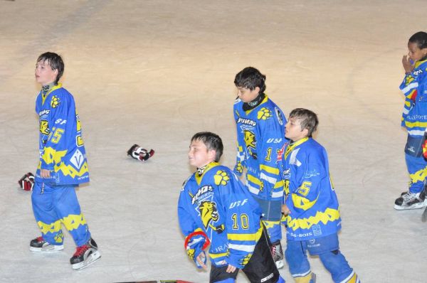 Cliquer pour voir l'image en taille réelle