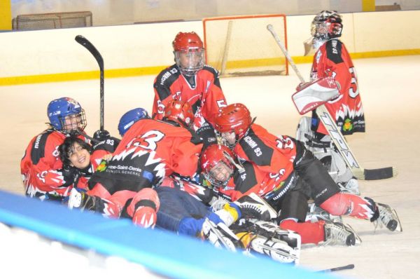 Cliquer pour voir l'image en taille réelle