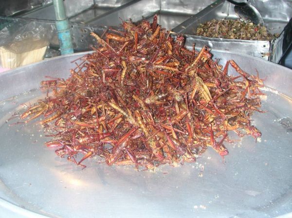 Klik op de foto om originele grootte te bekijken