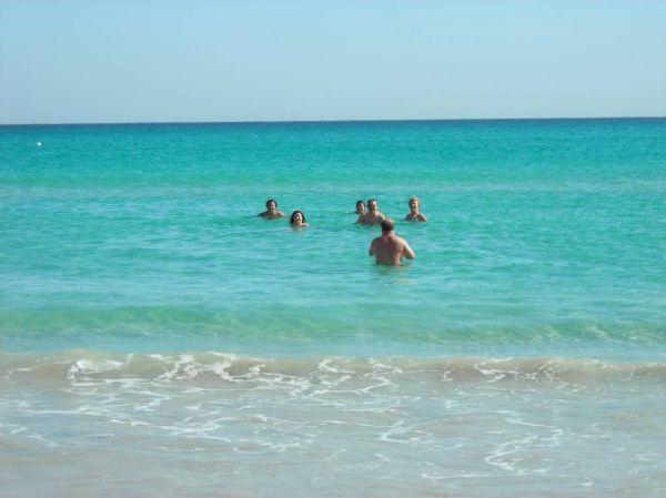 Klik op de foto om originele grootte te bekijken