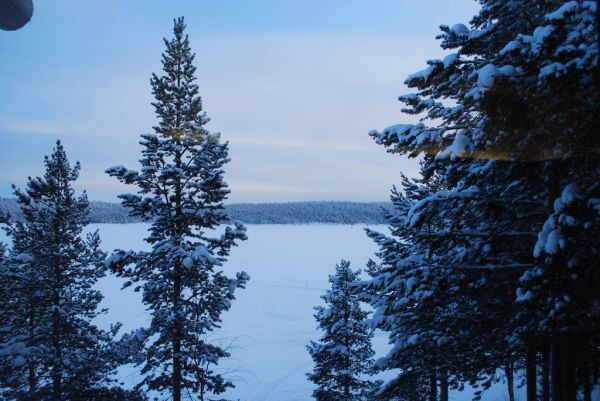 Cliquer pour voir l'image en taille réelle