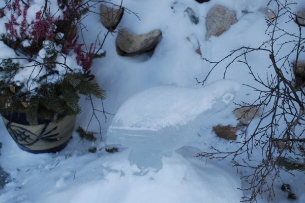 Cliquer pour voir l'image en taille réelle