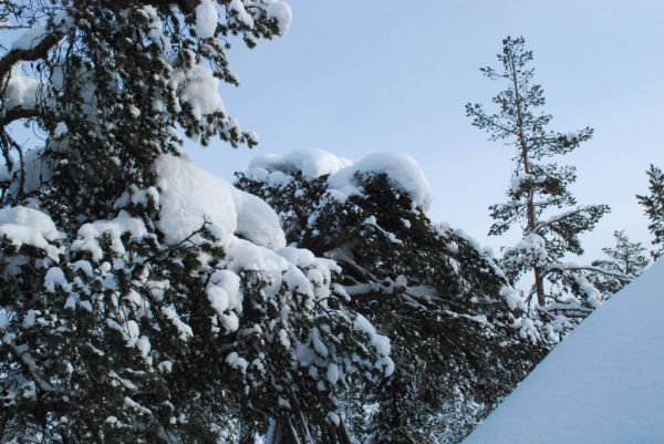 Pulsa para ver la imagen a tamaño completo