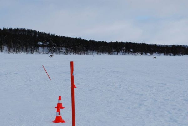 Cliquer pour voir l'image en taille réelle