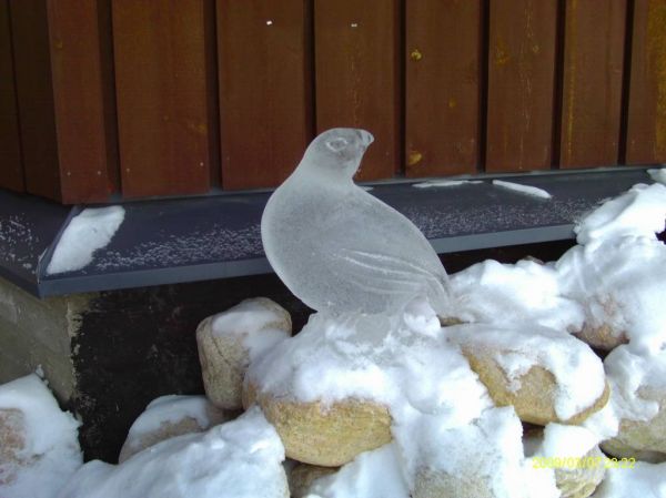 Cliquer pour voir l'image en taille réelle