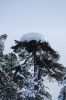 DSC_1176.jpg