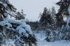 Filename=DSC_1177.jpg
Filesize=215KiB
Dimensions=1024x685
Date added=Dec 12, 2010 DSC_1177.jpg
