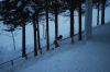 Filename=DSC_1209.jpg
Filesize=147KiB
Dimensions=1024x685
Date added=Dec 12, 2010 DSC_1209.jpg