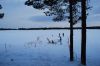 DSC_1308.jpg