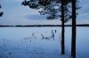 DSC_1309.jpg