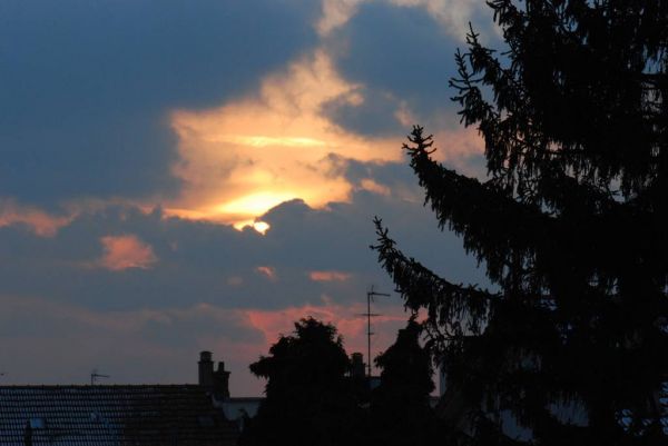 Cliquer pour voir l'image en taille réelle