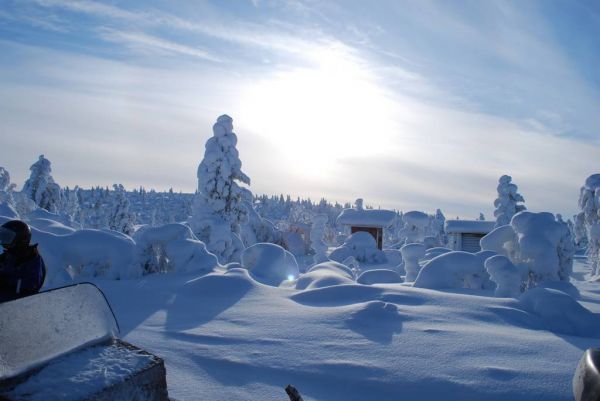 Cliquer pour voir l'image en taille réelle