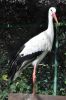 DSC_3898.jpg