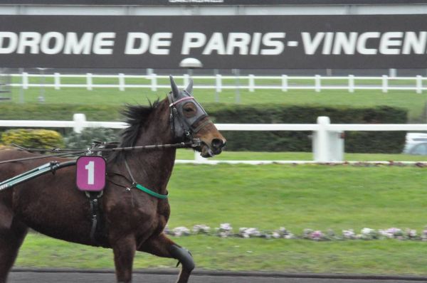 Cliquer pour voir l'image en taille réelle
