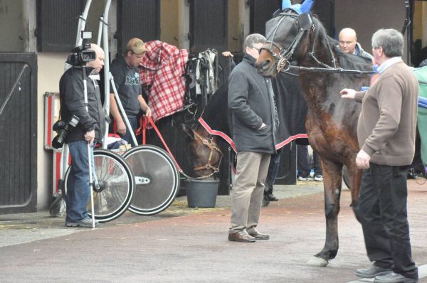 Klik op de foto om originele grootte te bekijken