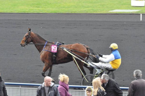 Cliquer pour voir l'image en taille réelle