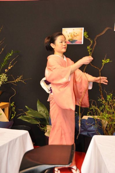 Cliquer pour voir l'image en taille réelle